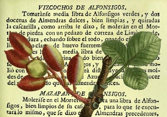 Recetas con pistachos/alfónsigos de Juan de la Mata (1747) e ilustración botánica de hojas y frutos del pistachero (1819).