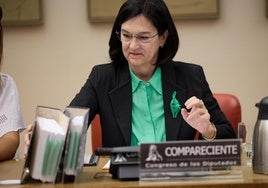 La presidenta de la CNMC, Cani Fernández.