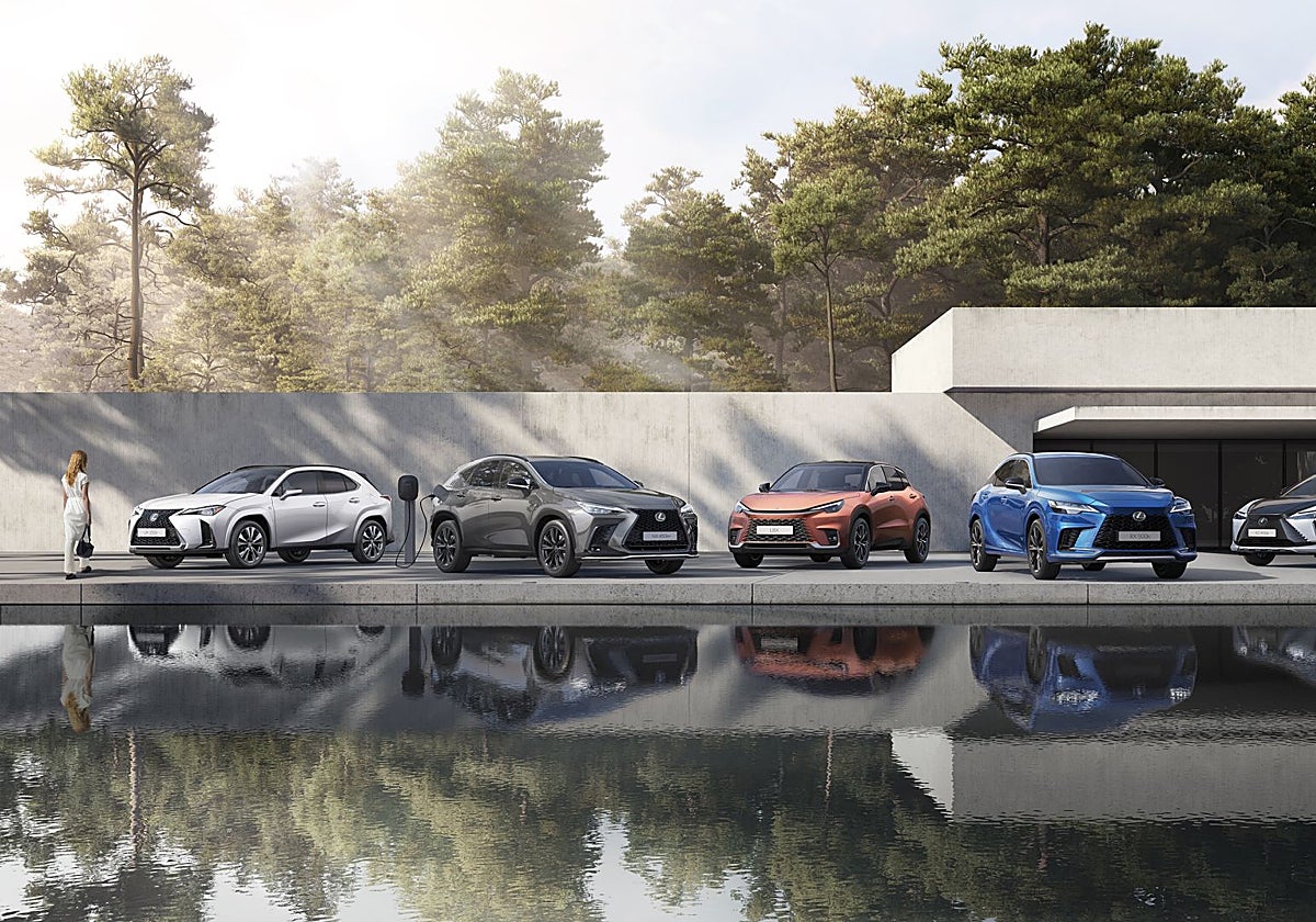 Los vehículos están certificados al 100%