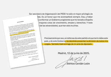El texto íntegro de la carta de dimisión de Santos Cerdán
