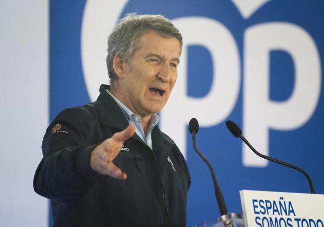 Alberto Núñez Feijóo, líder del PP.