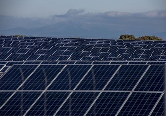 Placas fotovoltaicas en la provincia de Guadalajara.
