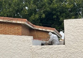 Un trabajador retira amianto de la azotea de un colegio.