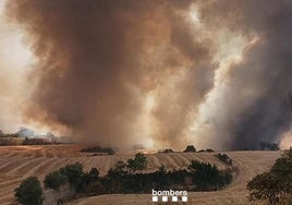 El incendio de un vehículo que se encontraba junto a un campo sin segar ha desatado este sábado un fuego en el municipio leridano de Granyena de Segarra