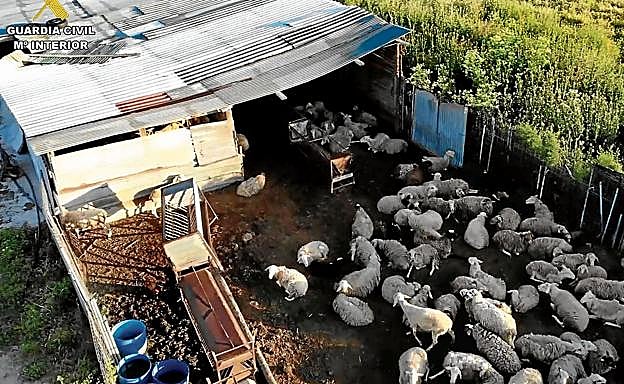 Vista aérea del matadero clandestino intervenido por el Seprona en la Operación Pox.