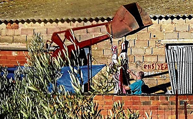 Un hombre eleva con una exacavadora una res en una matadero clandestino.