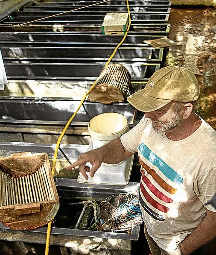 Imagem secundária 2 - salmão na Espanha esvaziado