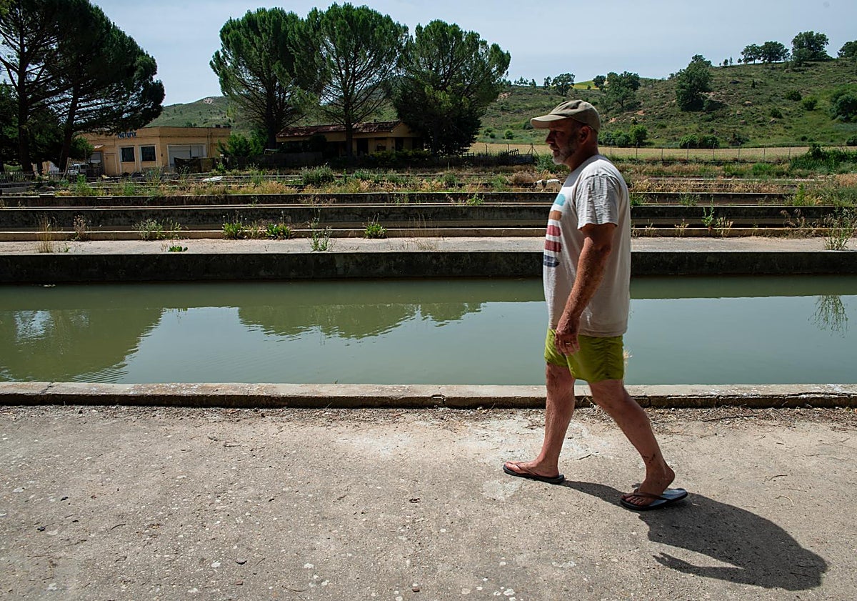 Imagen principal - Salmones en la España vaciada