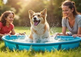 Las mejores piscinas para perros