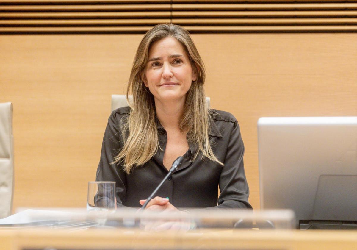 El Gobierno evitará la pérdida de proyectos...