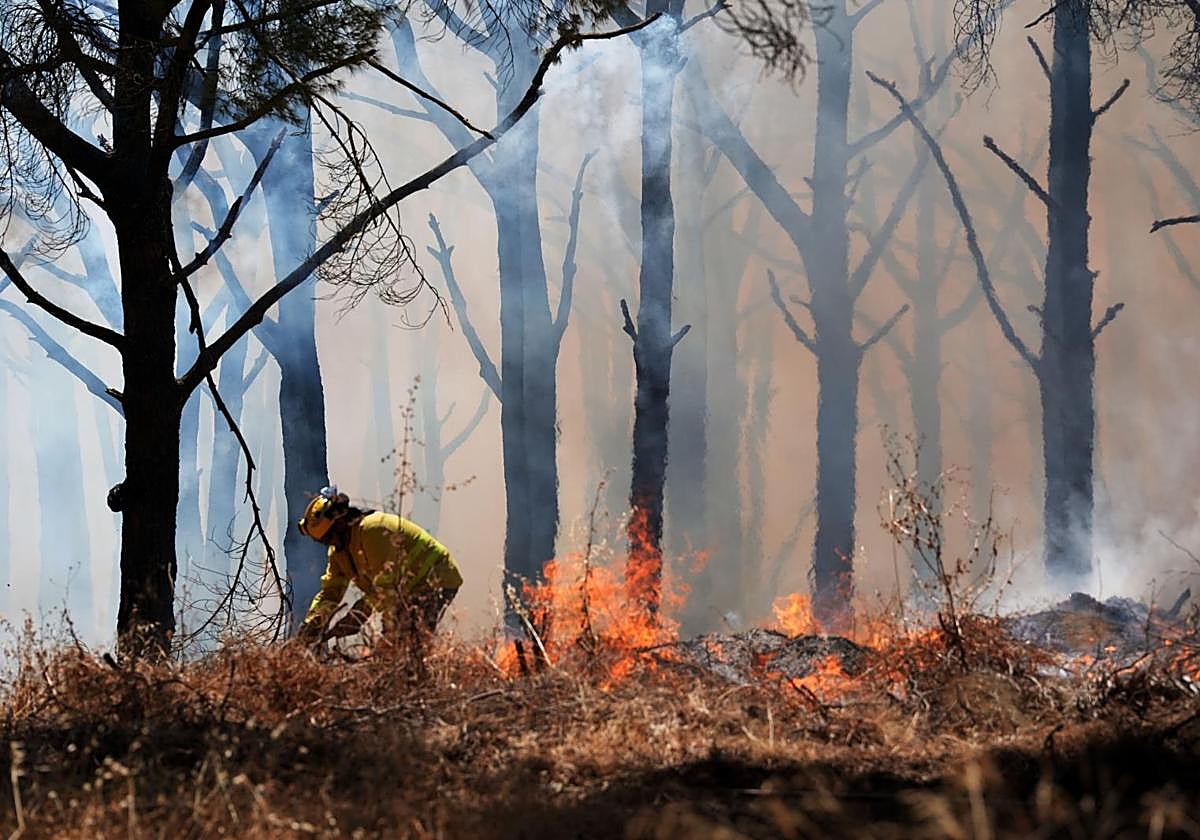 Bomberos trabajan en el incendio de Lleida.