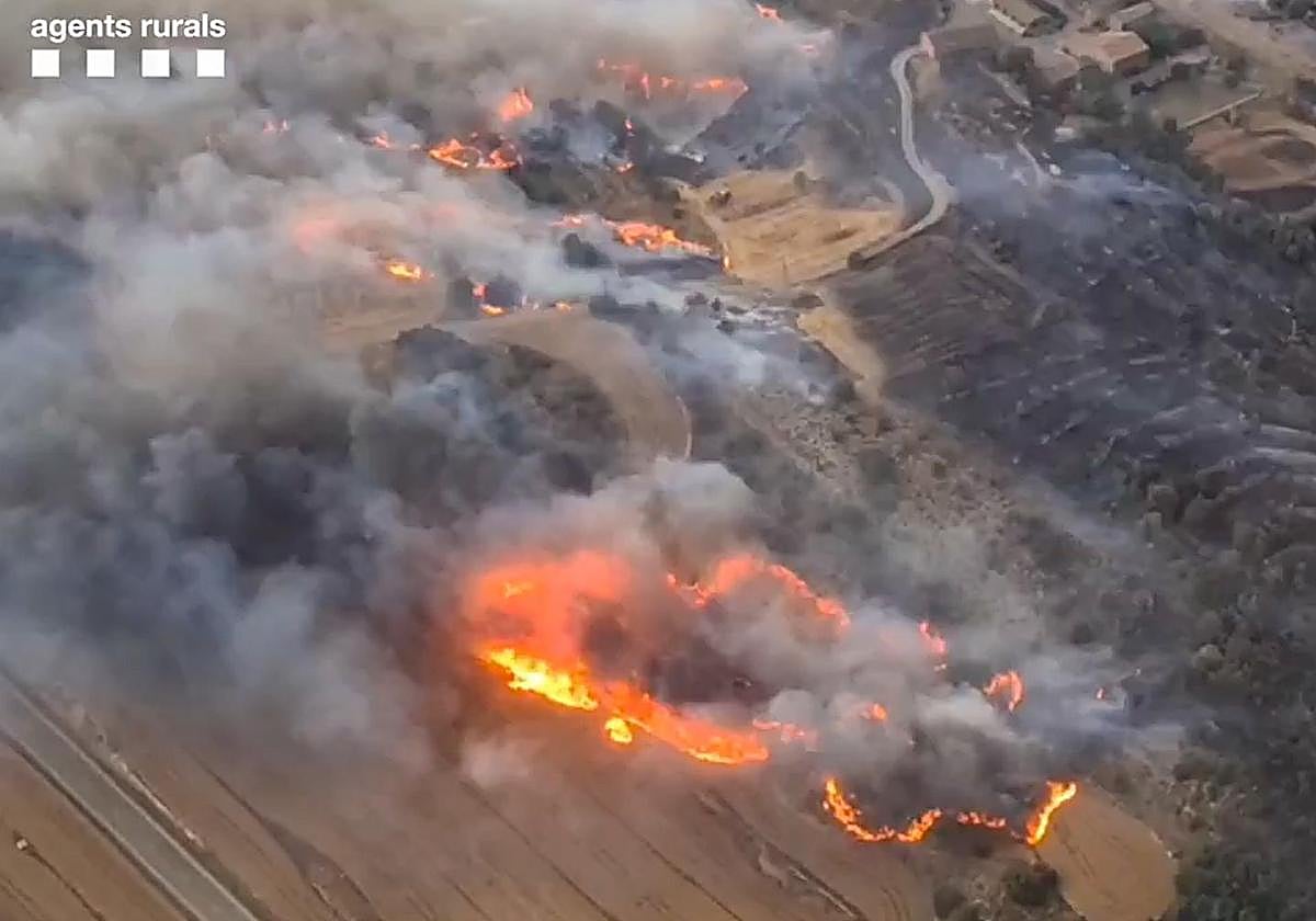 El primer gran incendio del verano en España, en Lleida.