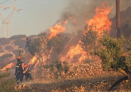Bomberos tratan de frenar las llamas cerca de la localidad de Ierapetra, en la isla griega de Creta.