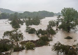 La tragedia de Camp Mystic: sigue la búsqueda de 27 niñas scout desaparecidas en unas devastadoras inundaciones en Texas