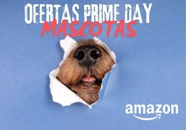 Estas son las mejores ofertas para tu mascota en el Prime Day 2025 de Amazon