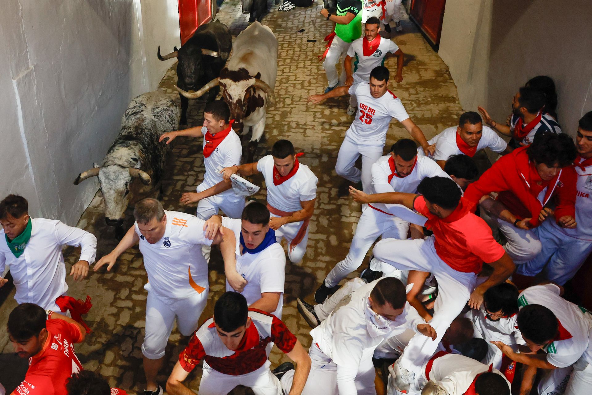 Momento de la entrada de los astados a la plaza de toros.