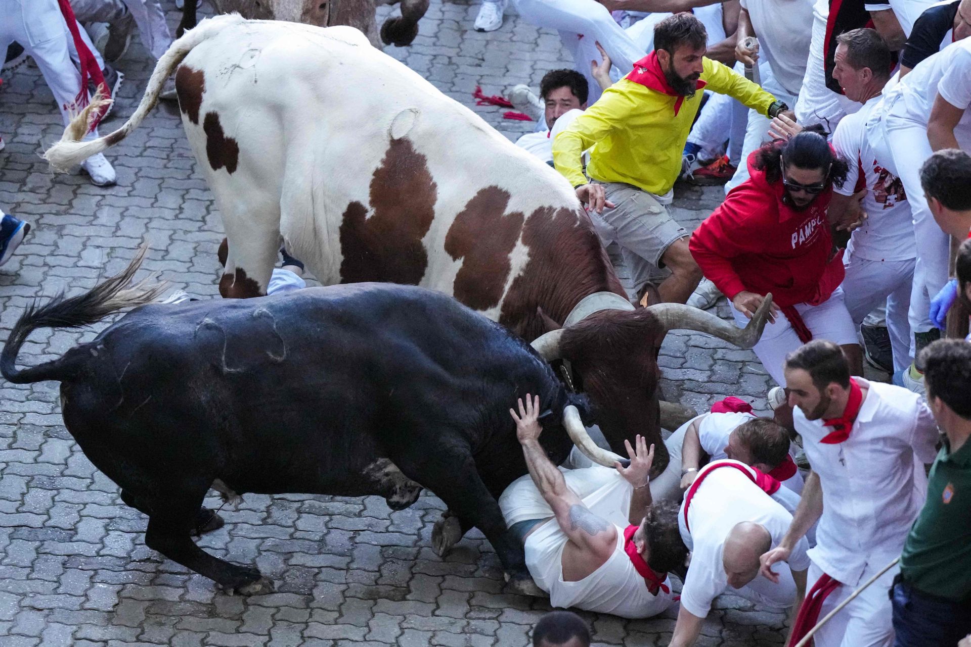 Los toros de la ganadería Cebada Gago son conocidos por haber protagonizado varios de los encierros más peligrosos en la capital navarra.
