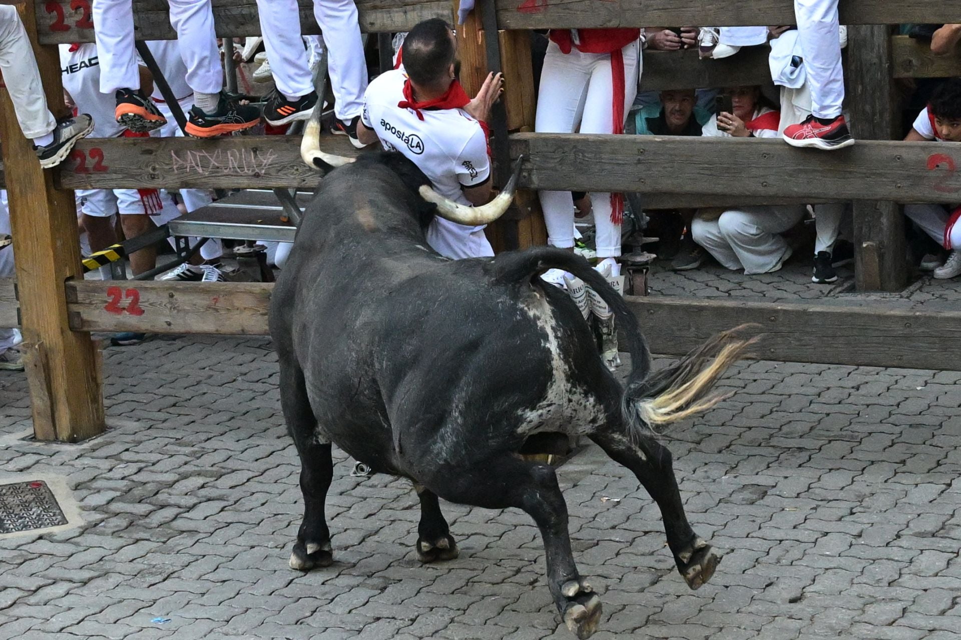Por la tarde, los toros serán lidiados por Morante de la Puebla, Roca Rey y Tomás Rufo.