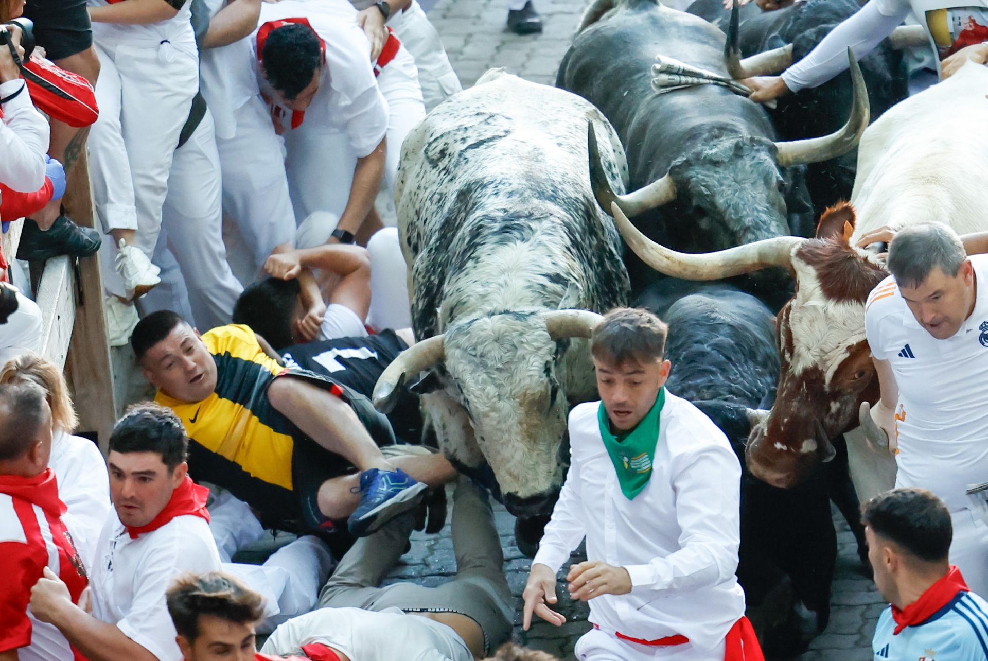 Los toros de la ganadería Cebada Gago son conocidos por haber protagonizado varios de los encierros más peligrosos en la capital navarra.