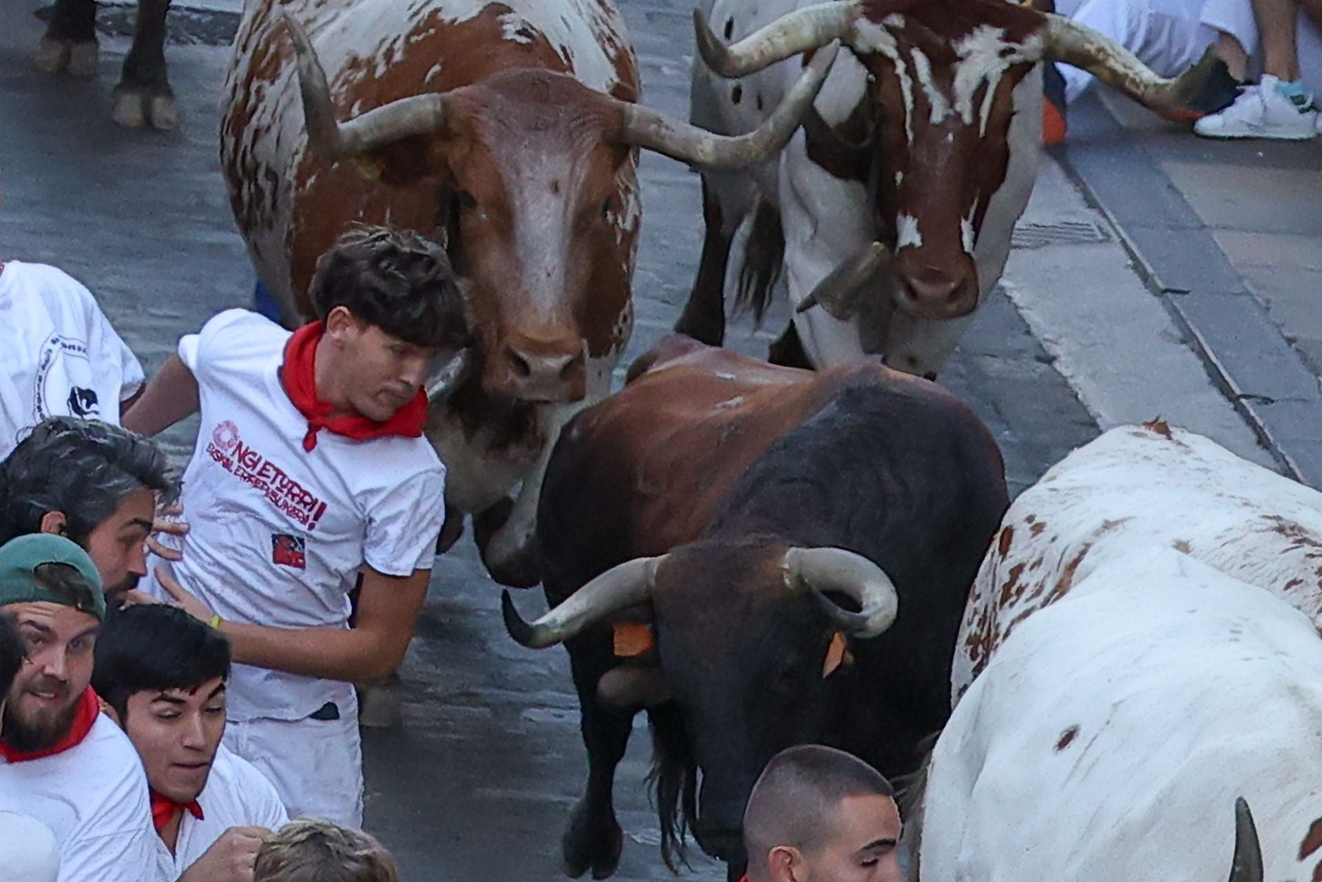 La carrera del año pasado, que duró 2 minutos y 42 segundos, mantuvo la tensión habitual que genera esta ganadería.