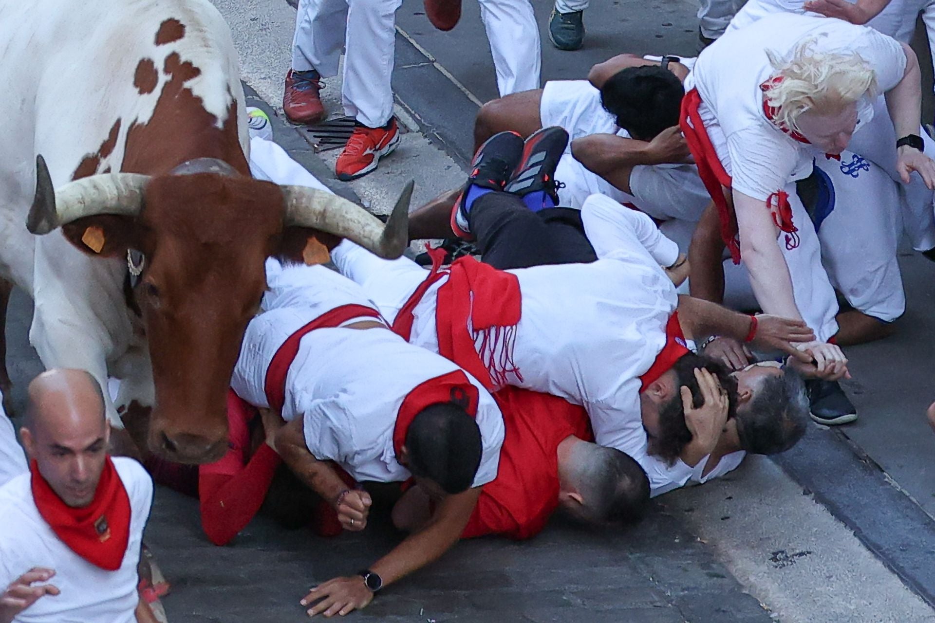 Los toros de la ganadería Cebada Gago son conocidos por haber protagonizado varios de los encierros más peligrosos en la capital navarra.