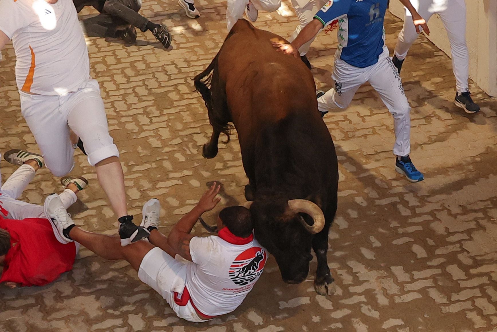 Los toros bravos, aunque han lanzado varios derrotes, han hecho gala de nobleza. 