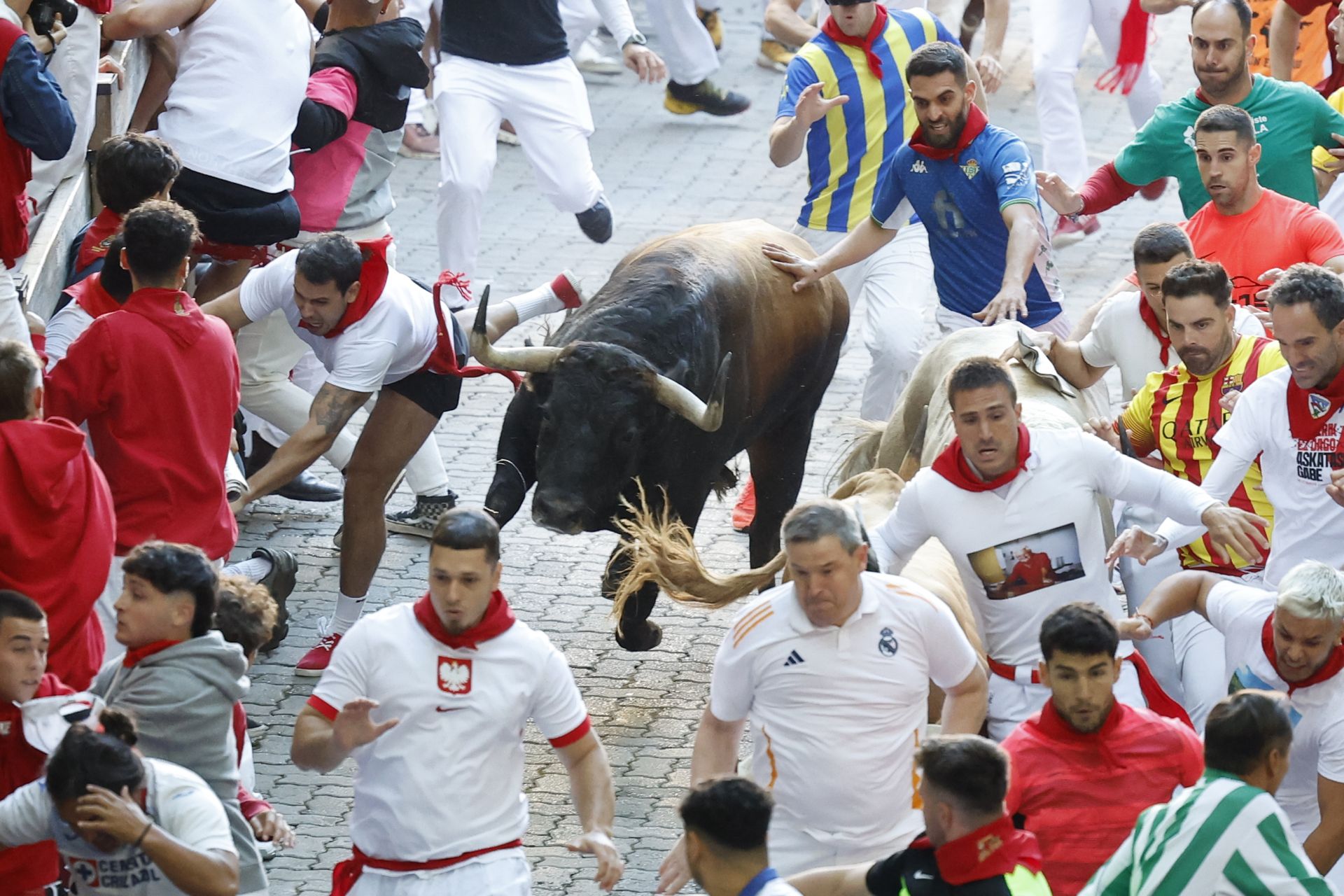 Los toros bravos, aunque han lanzado varios derrotes, han hecho gala de nobleza. 