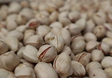 La cosecha de pistachos en España bate récords