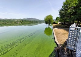 Embalse de As Conchas, en Orense, con sus aguas contaminadas, origen de la demanda.