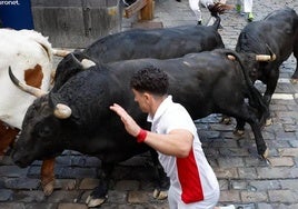 Los toros de jandilla, durnate el encierro del pasdo año.