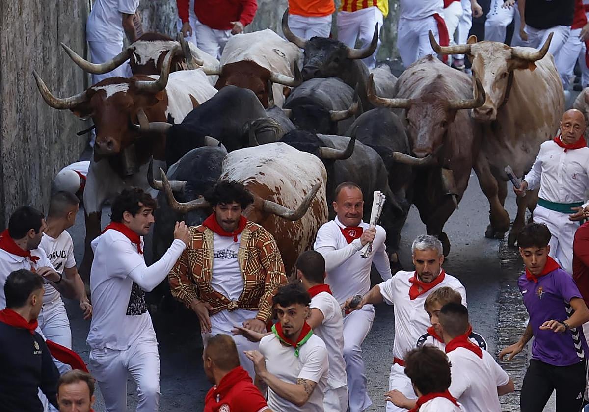 Los astados de José Escolar.
