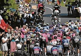 En el pelotón del Tour de Francia, que acabará el 27 de julio en París, ya se han colado jóvenes promesas.