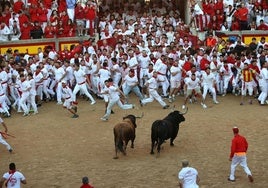Dos toros permanecieron el año pasado mucho tiempo en el ruedo.