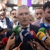 Fernando Grande Marlaska.