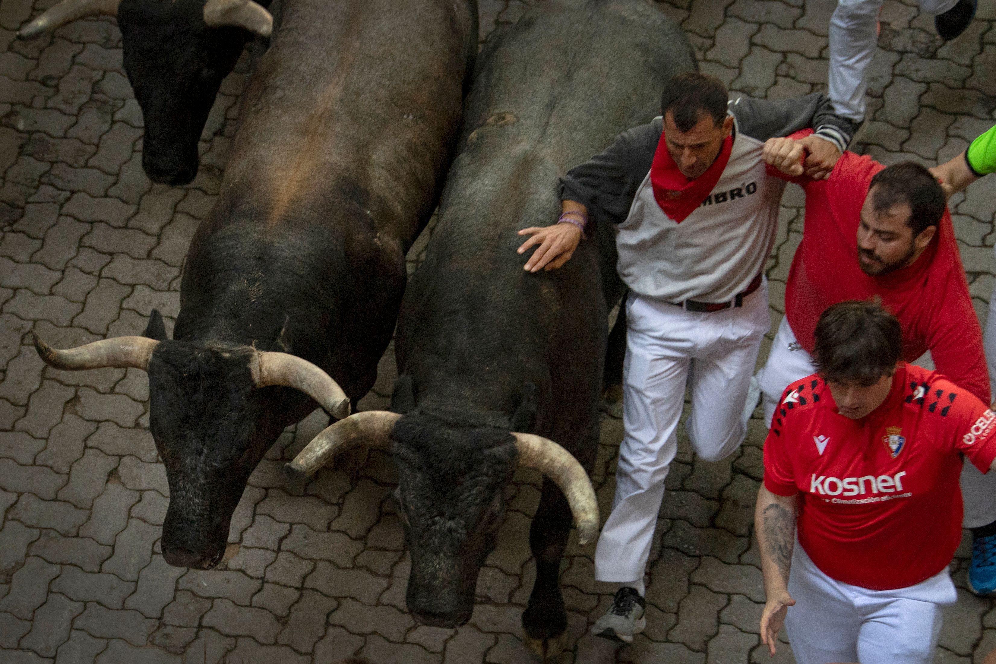 Algunos participantes corren junto con los toros.