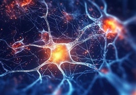 Un colosal mapa de proteínas para luchar contra el alzhéimer y el párkinson