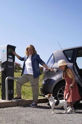Cuidado con el calor en verano en el coche