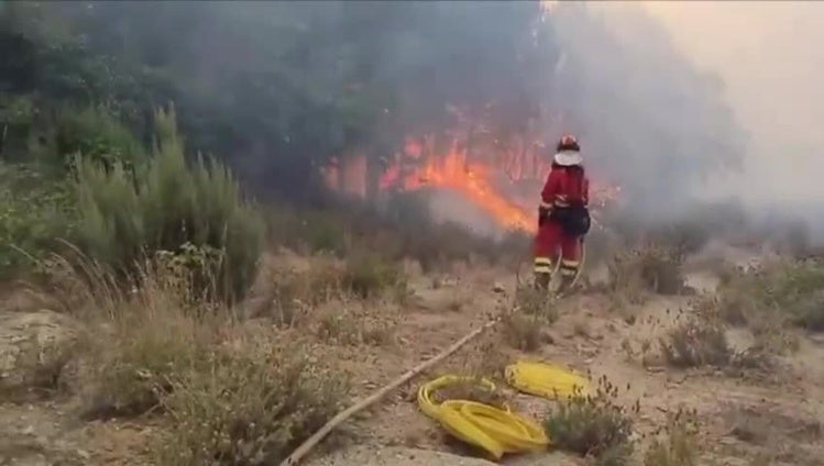 Vídeo incendio en Cuevas del Valle (Ávila)