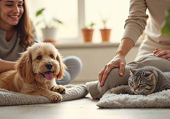 El ranking definitivo de las mejores mantas refrescantes para mascotas