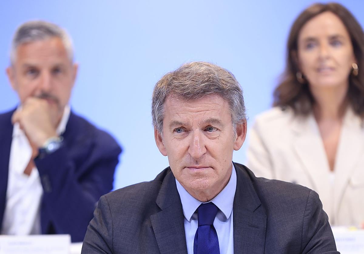 El presidente del PP, Alberto Núñez Feijóo.