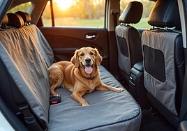 Si quieres viajar con tu perro este verano necesitas esta funda para coche