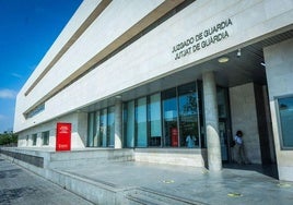 El juzgado de guardia de Valencia acordó la prisión de la detenida.