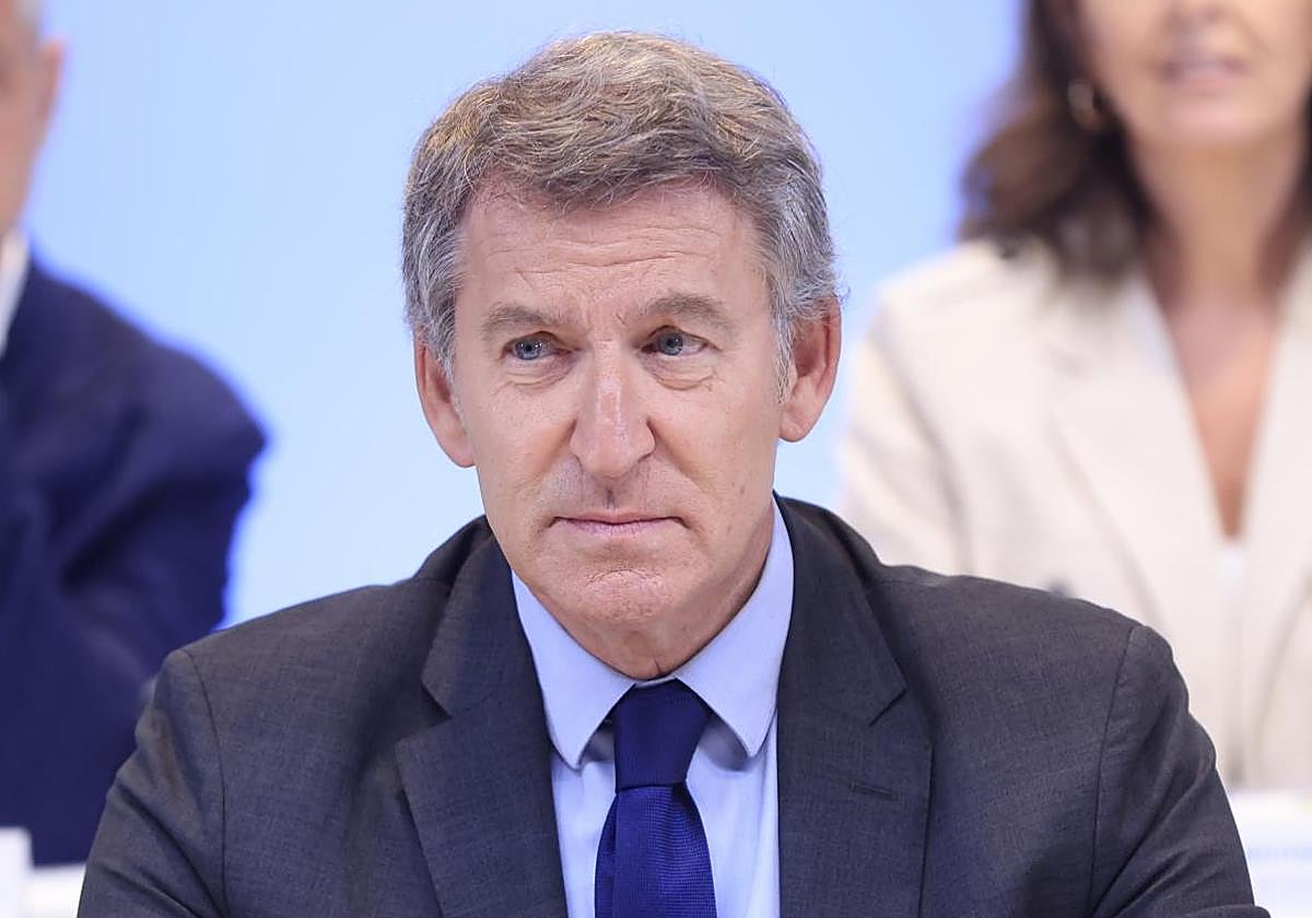 El líder del PP, Alberto Núñez Feijóo.