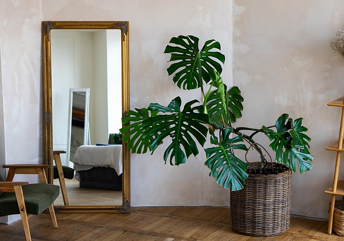 Espejito, espejito mágico... Decora y da amplitud a tu hogar con los espejos más bonitos del reino