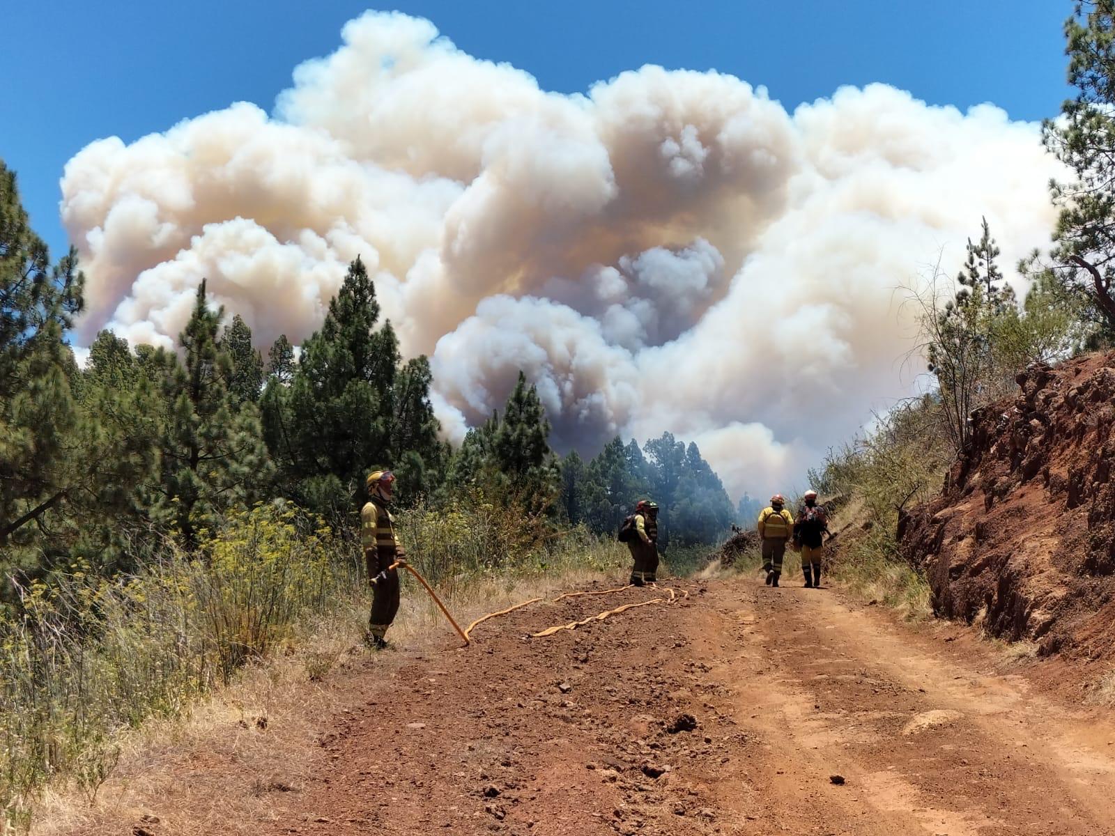 El Operativo de Brito en el Cabildo de La Palma frente al incendio de Puntagorda en 2023.
