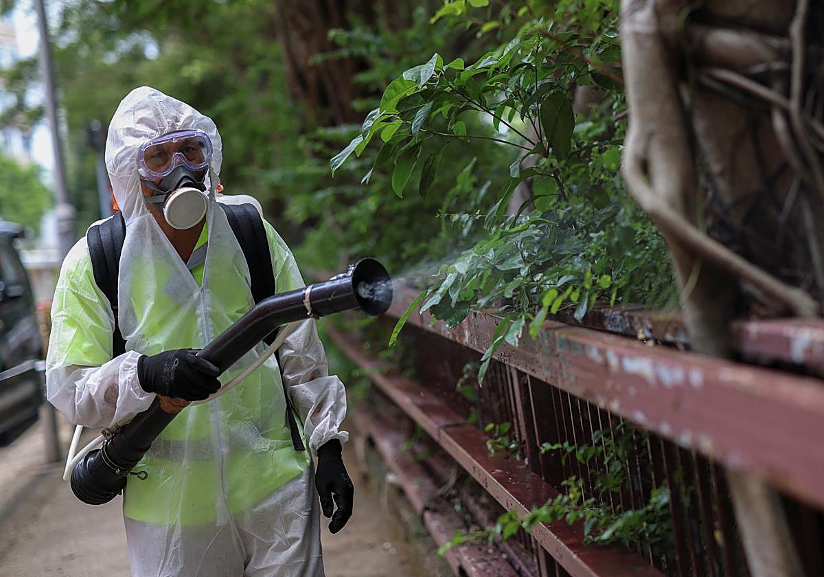 Un funcionario rocía con insecticida un parque de Hong Kong.