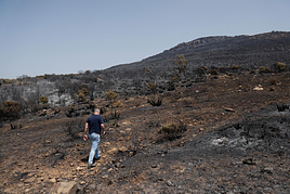 Incendio en Cádirz, en un parque natural de Tarifa