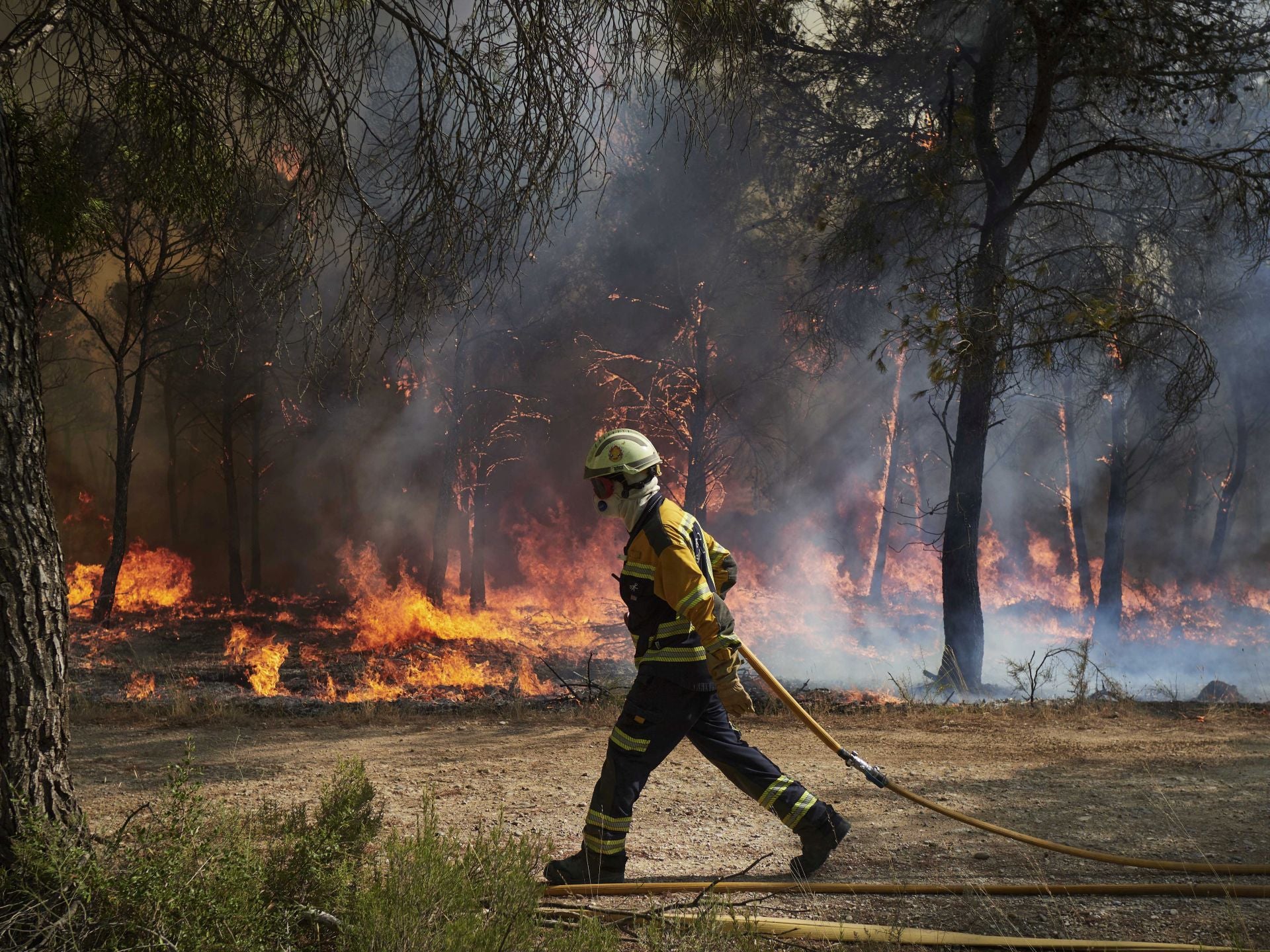 Bombero intenta apaciguar el fuego en Carcastillo, Navarra