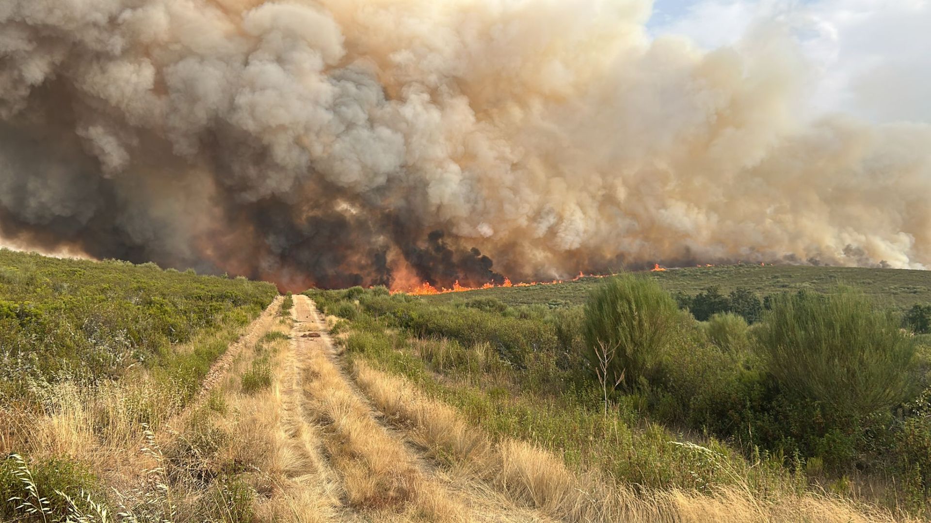 El fuego avanza en los campos de Puercas, Zamora. 