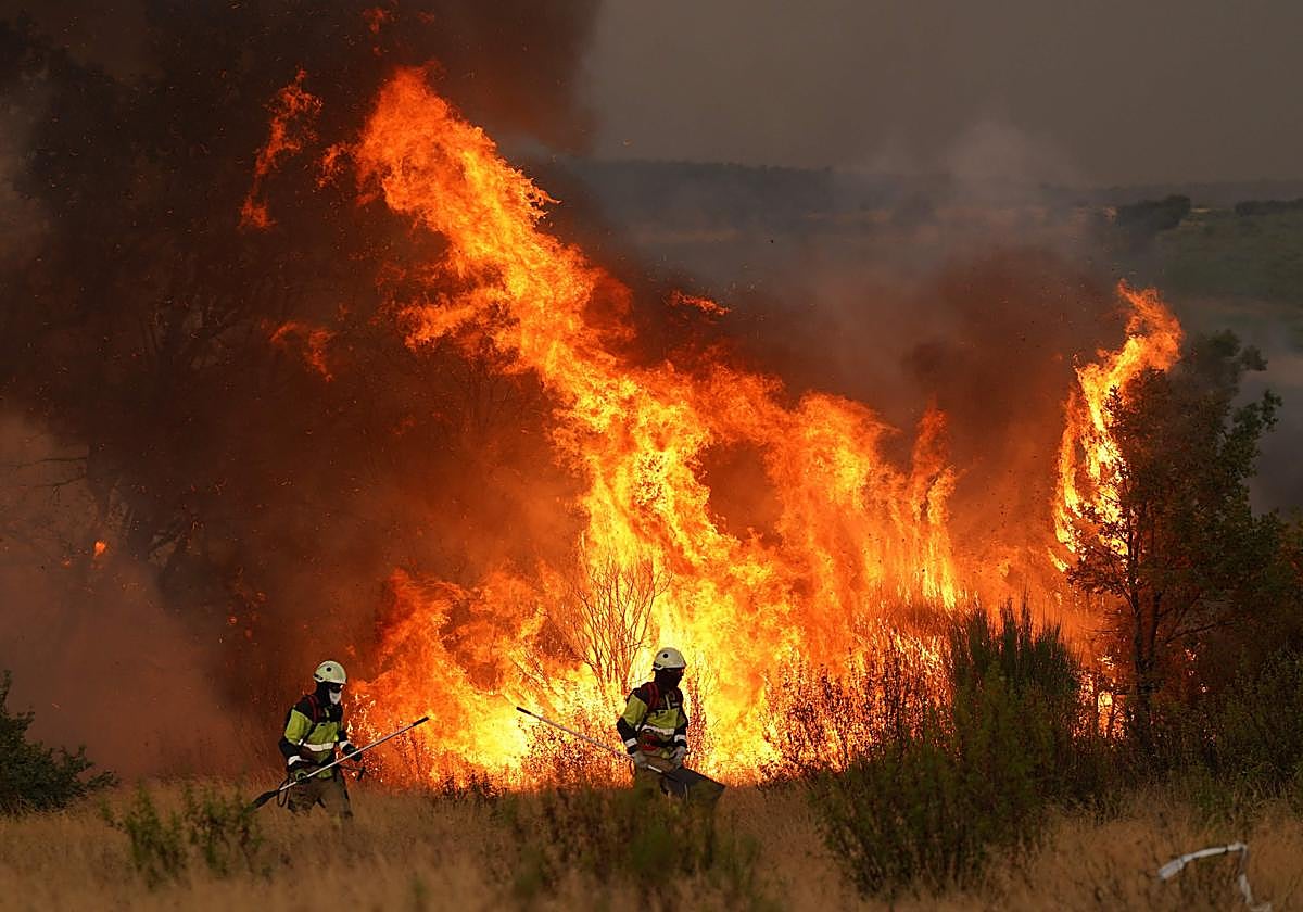Bomberos trabajan para apaciguar el fuego.